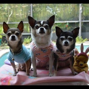 Meet your Posher, Fallon